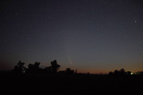 Comet Over the Bean Field