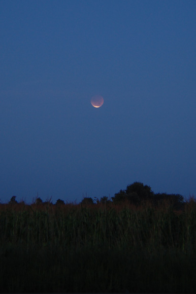 Morning Lunar Eclipse