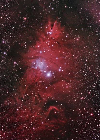 NGC 2264 Christmas Tree Nebula